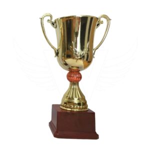 trophies & medals